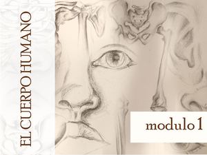 EL CUERPO HUMANO -MODULO 1