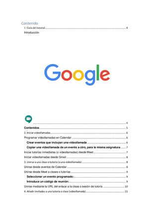 Manual Google Meet