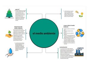 Mapa Conceptual Sobre El Medio Ambiente