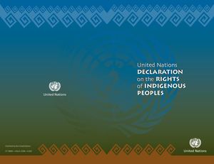 Calaméo - Macn R000000202 United Nations Declaration On The Rights Of ...