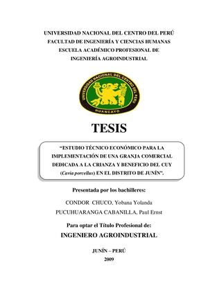 Tesis Condor Chuco Yobana,pucuhuaranga Cabanilla Paul