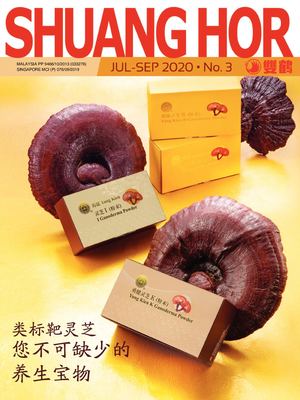 July 2020 (Chinese).