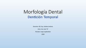 Morfología Dental Clase Final Denticion Temporal 6 De Agosto 2020