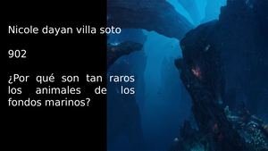 Por Que Son Tan Raros Los Animales Del Fondo Del Mar