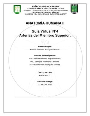 Guía Iv Arterias De Miembro Superior