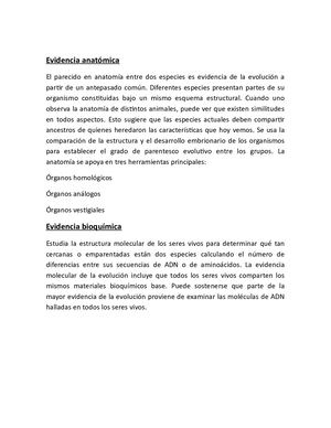 Evidencia Anatómica