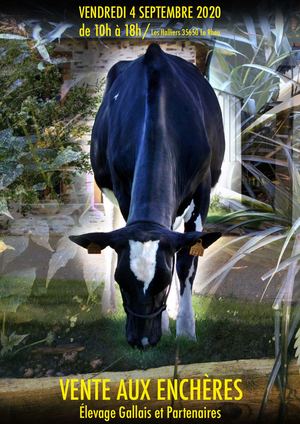 Catalogue vente Elevage GALLAIS et Partenaires