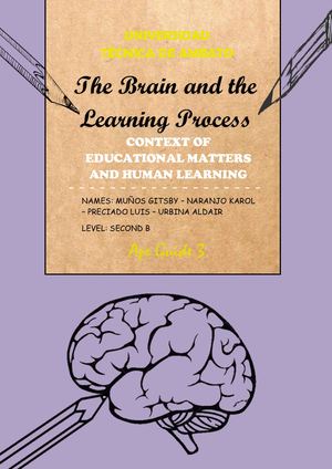 The Brain and the Learning Process
