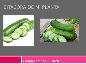 Bitácora De Mi Planta