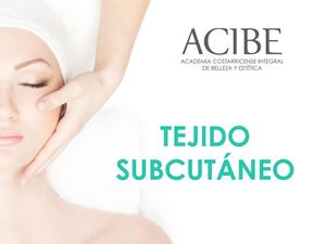 Estructura de la Piel Tejido Subcutáneo