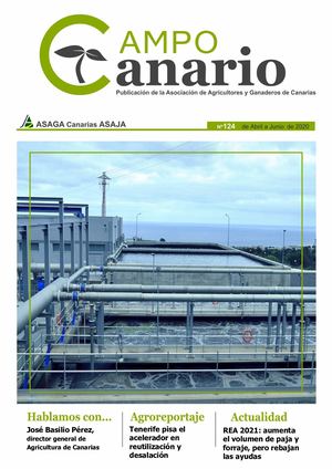 Revista Campo Canario 124