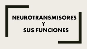 Neurotransmisores