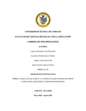 Investigacion Discalculia Lexica