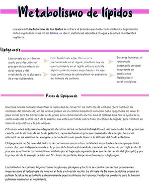Metabolismo De Lipidos