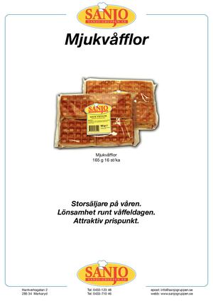 Sanjo Gruppen Presentation 2020