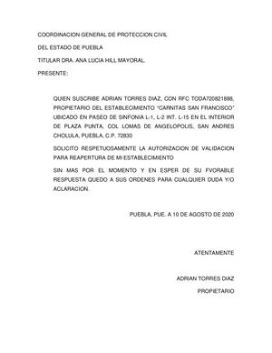 Peticion A Proteccion Civil