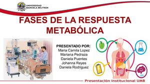 Fases De La Respuesta Metabólica