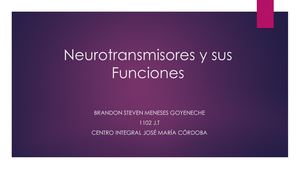 Neurotransmisores y sus funciones