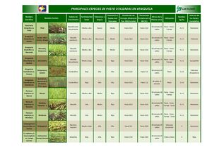 Principales Especies De Pasto Utilizadas En Venezuela
