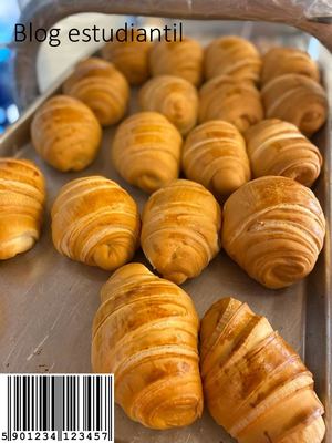 Revista Producto 4 Pan Cascarita