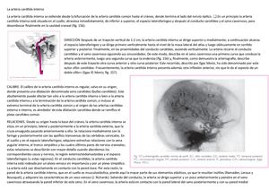 La Arteria Carótida Interna