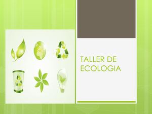 Actividades Taller De Ecologia (Semana 19)
