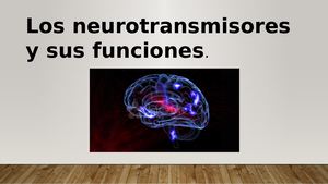 Los Neurotransmisores 4