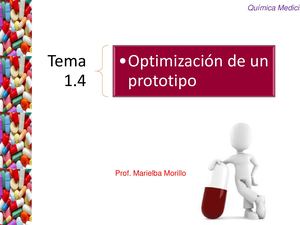 Tema 1 4 Prototipo 2018