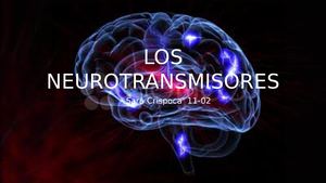 Los Neurotransmisores