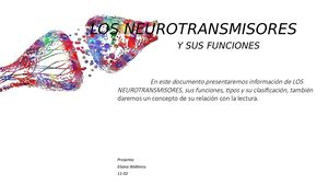 Los Neurotransmisores
