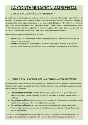 La Contaminación Ambiental