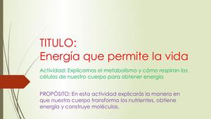 Metabolismo Celular Cuarto Grado