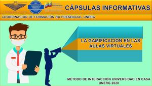 Cápsula Gamificacion Final