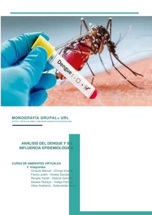 Monografía Dengue Grupal