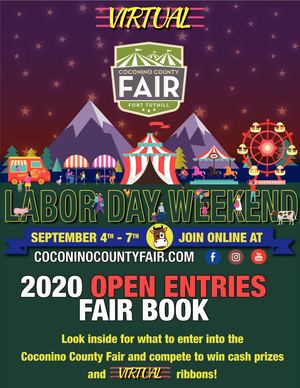 Final 2020 New Fair Book Community Entries Reduced