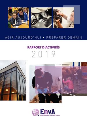 Rapport d'activité 2019
