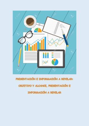 Criterios Para La Presentación Y Revelación