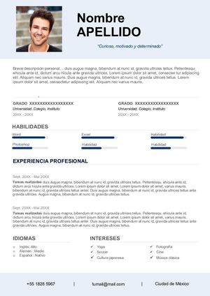 58 Curriculum Vitae Hecho