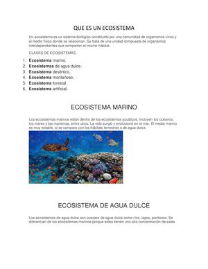 Que Es Un Ecosistema