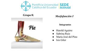 Pie (anatomía)
