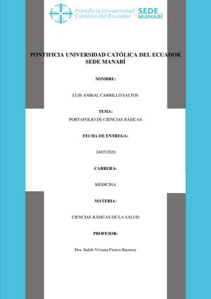 Portafolio Ciencias Basicas Luis Carrillo