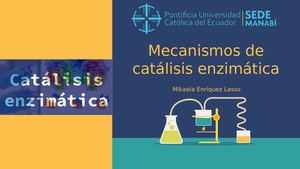Mecanismos De Catálisis De Enzimas Y Metabolismo