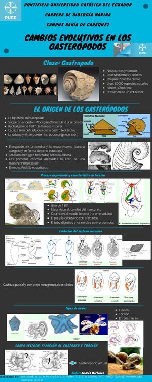Gasterópodos