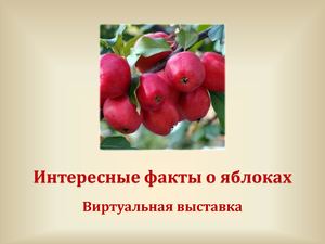 "Интересные факты о яблоках"