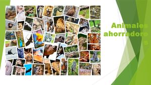 Animales Ahorradores