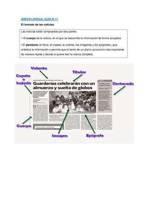 Anexo Lengua Guía N°11