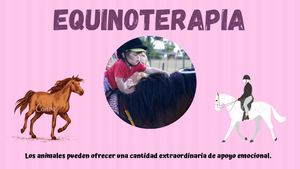 Equinoterapia