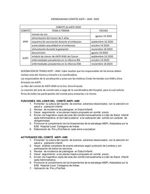 Cronograma De Comite De Aiepi Iami