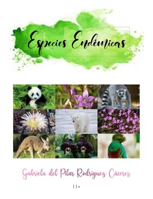 Especies Endémicas