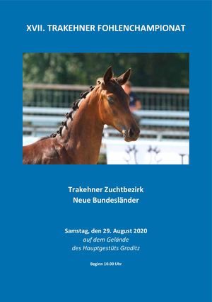 Trakehner Fohlenchampionat ZB NBL 2020